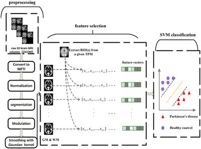 Stability Evaluation of Brain Changes in Parkinson's Disease Based on Machine Learning